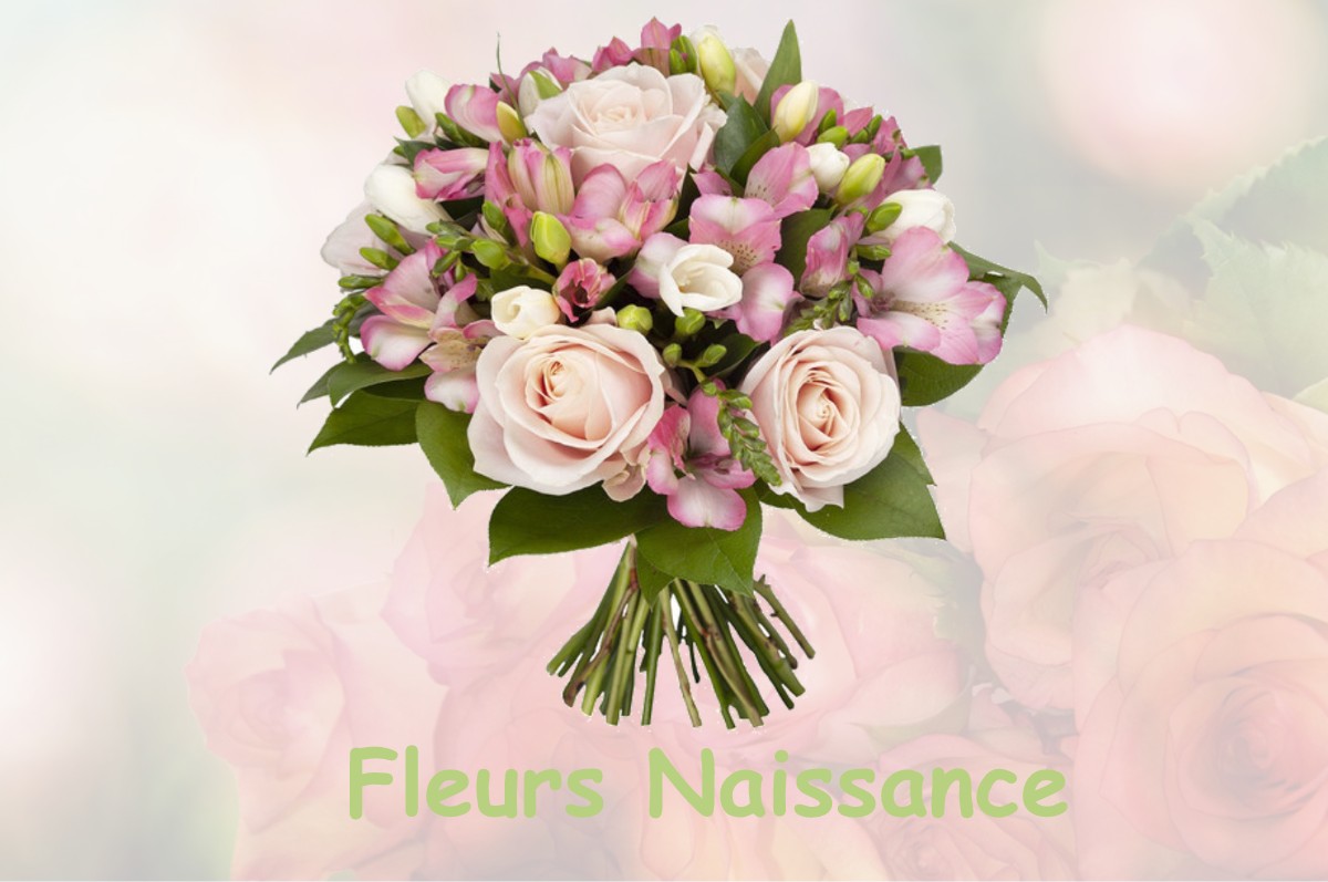 fleurs naissance SAINT-YRIEIX-LES-BOIS