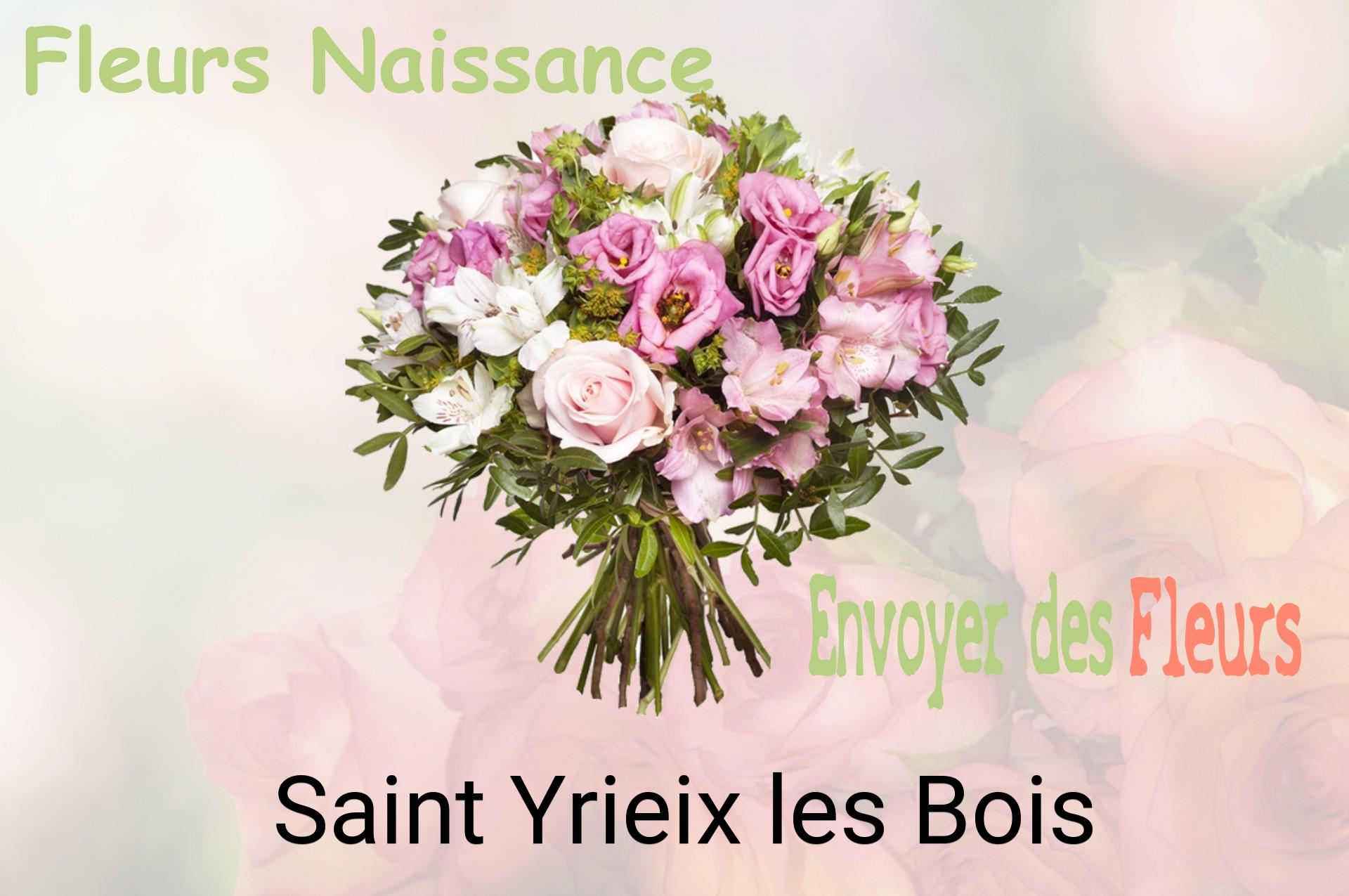 Bouquet de fleurs de naissance livré à Saint-Yrieix-les-Bois